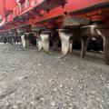 Maschio Alitalia 4m Combi drill