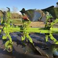 Dowdeswell MA140 6f